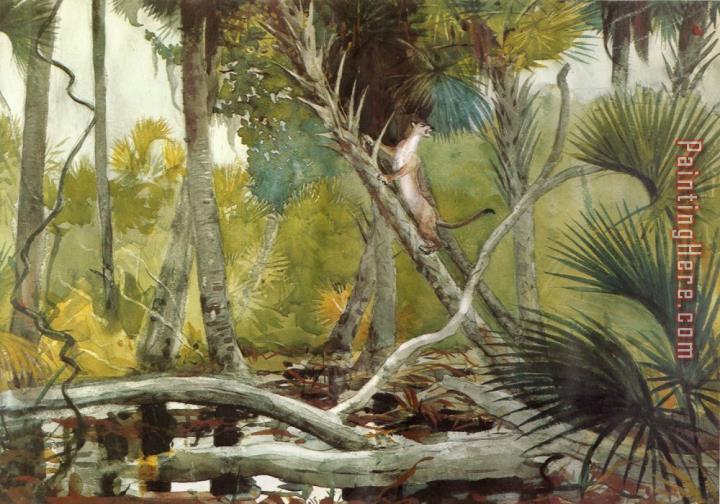 Winslow Homer In The Jungle, Florida